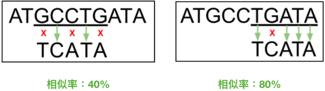 DNA 相似度